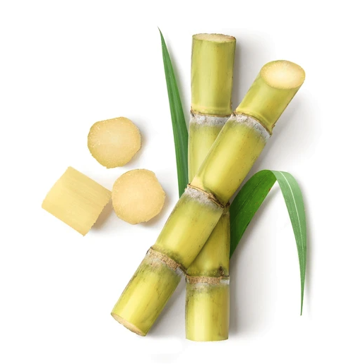 Cañas