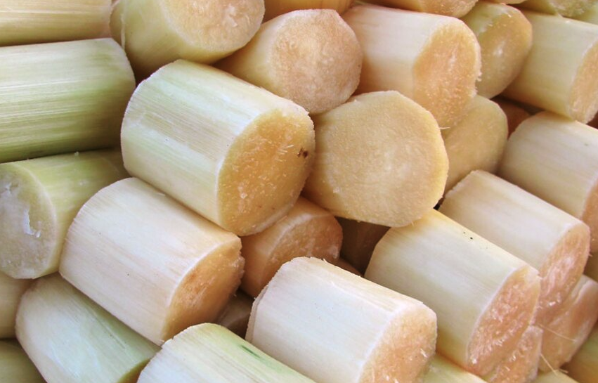 Cañas